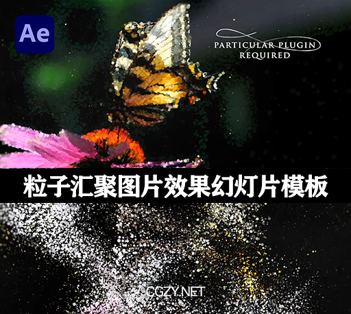 AE模板|粒子汇聚图片效果幻灯片动画 Particles Slideshow