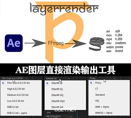 AE插件|LayerRender v1.8.0 Win/Mac AE图层直接渲染输出工具