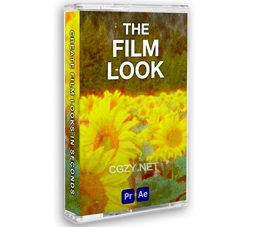 复古电影质感噪点视频素材LUTs调色预设音效素材 THE FILM LOOK