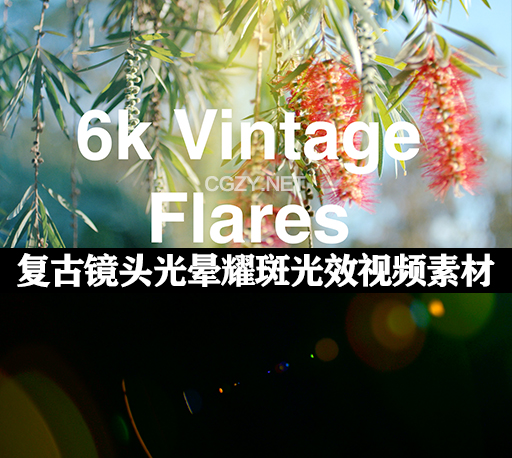 65个复古镜头耀斑光效叠加4K视频素材 Rocket Rooster Vintage Flares
