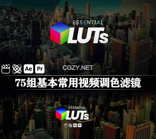 Mac苹果AE/PR/FCPX插件|75组基本常用视频调色滤镜 Essential LUTs