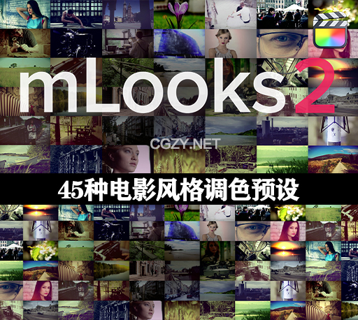 FCPX插件|45种电影风格调色预设 mlooks2