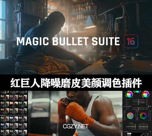 红巨人调色套装插件|Red Giant Magic Bullet Suite V16.0.0 Win/Mac破解版