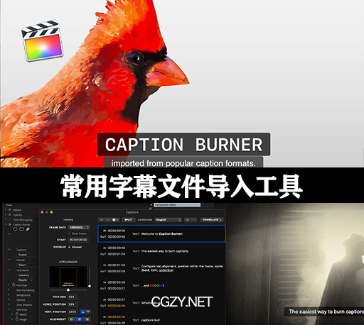 FCPX插件|SRT字幕文件导入工具 支持M1 Caption Burner