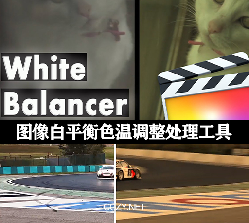 FCPX插件|图像白平衡色温调整处理工具 支持M1 White Balancer
