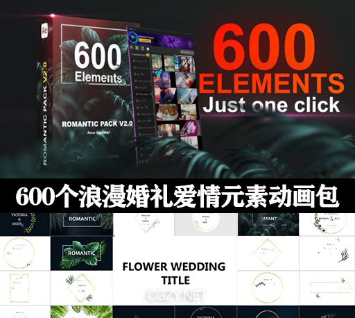 AE脚本|600个浪漫婚礼藤蔓花纹光效粒子文字标题转场调色素材包-Romantic Pack V2.0