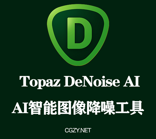 Topaz DeNoise AI 3.5.0 Win破解版 AI智能图片降噪工具