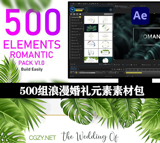 AE脚本|500组浪漫婚礼文字标题边框装饰粒子光效元素转场调色素材包-Romantic Pack V1.0