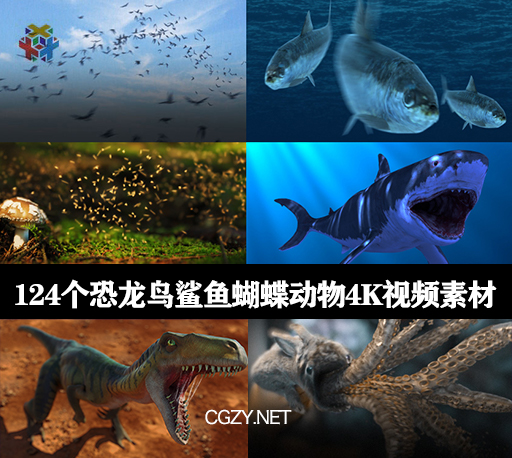 视频素材|124个恐龙鸟蛇鲨鱼蝴蝶动物4K视频素材合集下载- Production Crate – Animals & Creatures