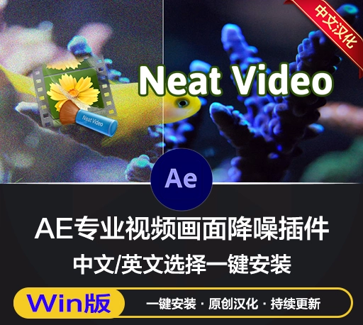 中文汉化-AE专业视频画面降噪插件 Neat Video Pro v5.6.5 Win 一键安装版