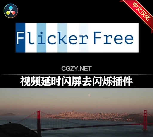 中文汉化-达芬奇去闪烁插件 Digital Anarchy Flicker Free v2.2.3 Win