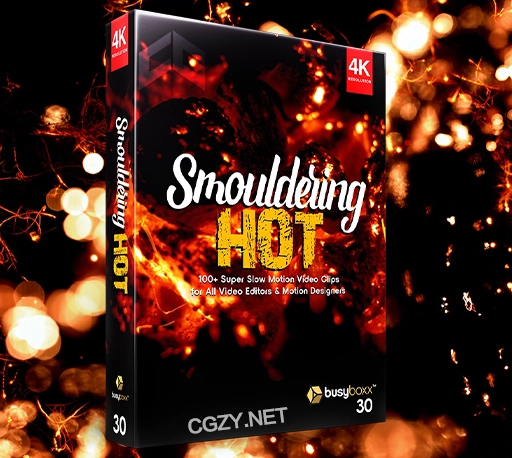 4K视频素材|100个真实柴火苗燃烧火堆火焰动画素材 BBV30 Smouldering Hot