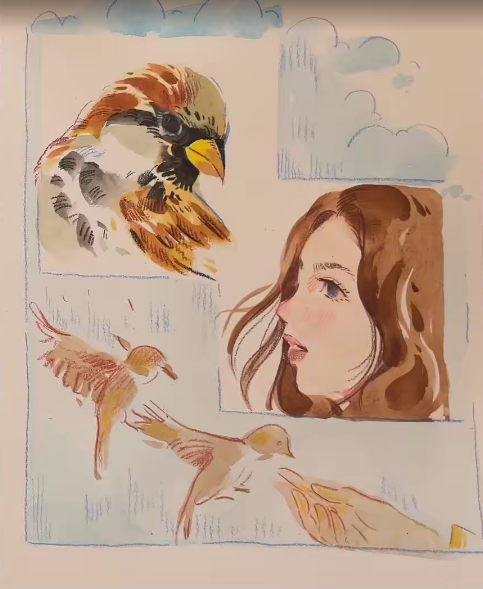 九两跨年人物鸟类动物园全四套【画质不错只有视频】