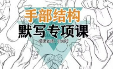 衍知行手部结构默写专项课【画质高清只有视频】
