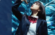 衣刀君摄影课2024【画质还可以有预设和插件】