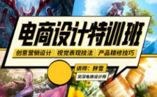 胖雪电商设计速成班【画质不错有大部分素材】