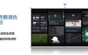 大马奔腾调色易筋经2024【画质高清有素材】