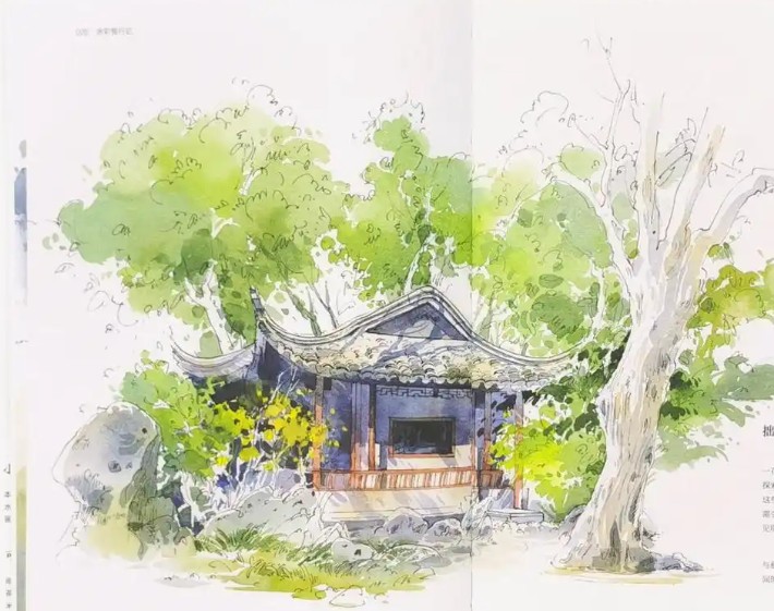 小布老虎有点忙水彩教程合集【画质高清只有视频】