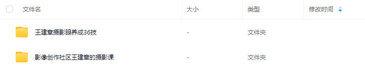 摄影眼养成36技+影像创作社区王建章的摄影课【画质不错只有视频】