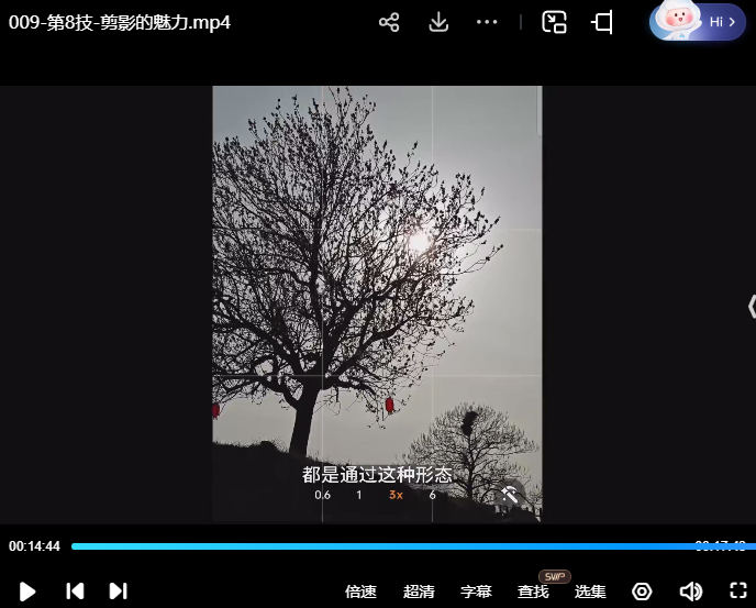 摄影眼养成36技+影像创作社区王建章的摄影课【画质不错只有视频】