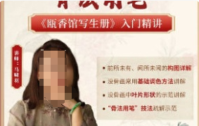 国画马啸羽骨法用笔之瓯香馆写生册入门精讲2024【画质不错有课件】