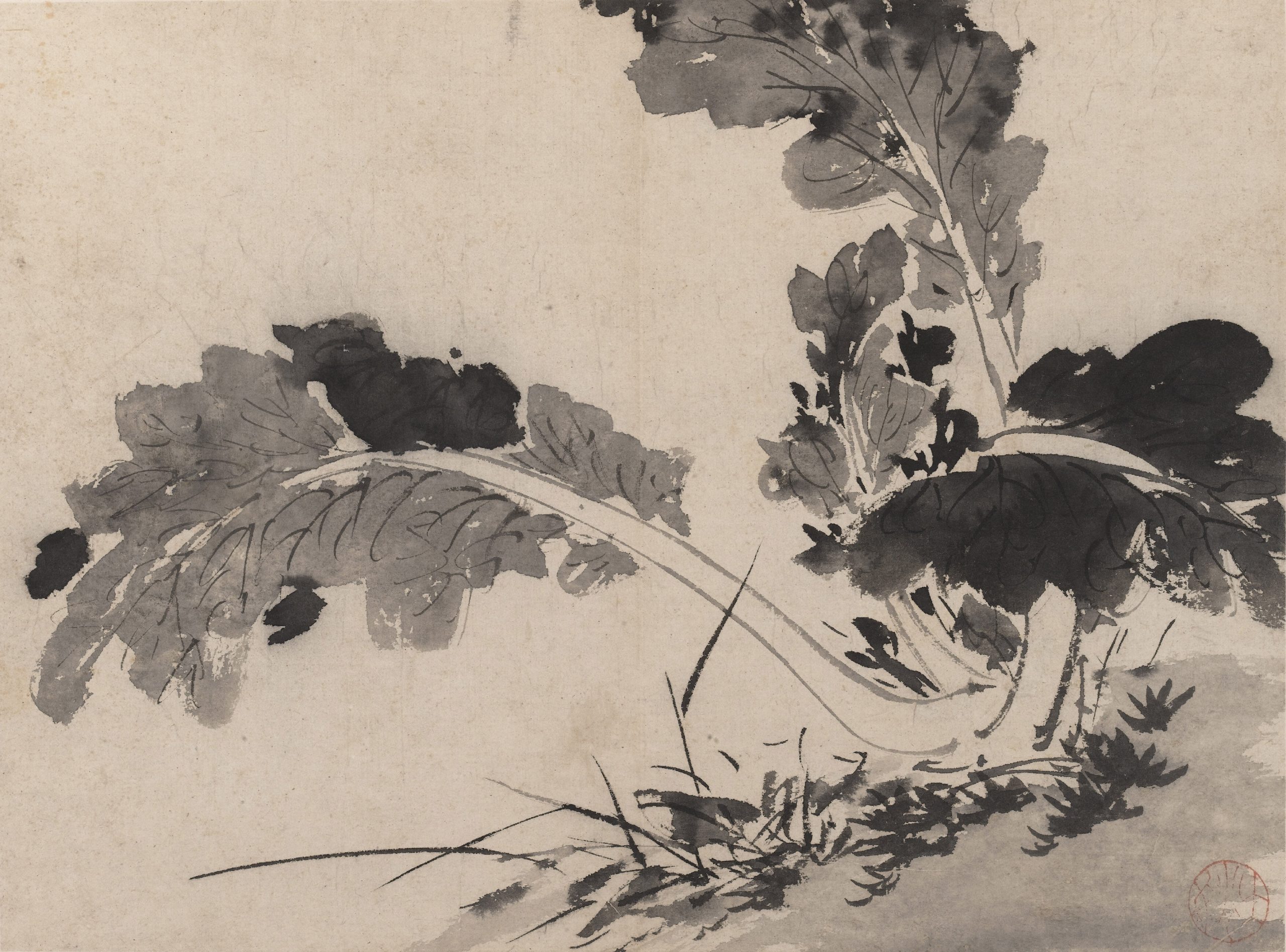 陈淳写意花卉之墨花写生二十讲【画质不错有课件】