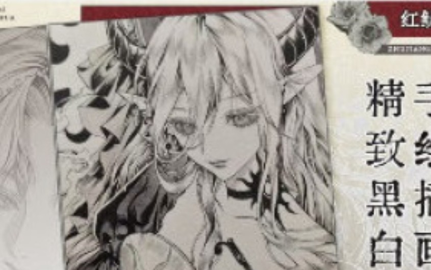 红鱿鱼精致黑白手绘插画班2025【画质高清只有视频】