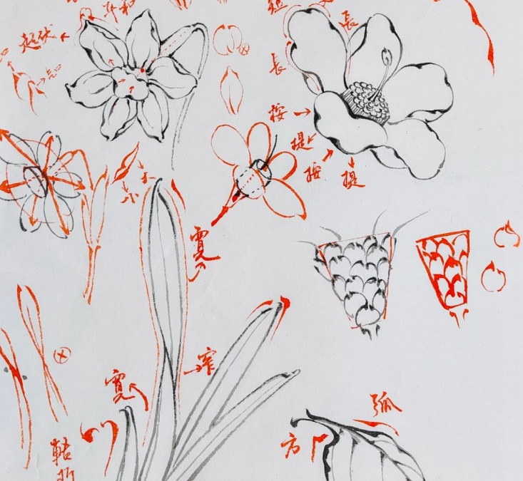 太子洗马入门到高阶豫山国画综合课没骨+白描62节【画质高清有素材】