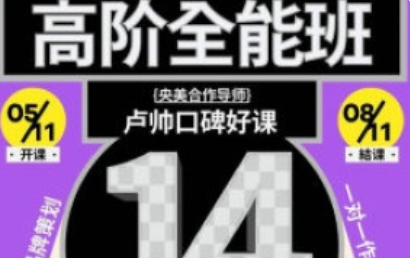 卢帅品牌设计高阶班第14期2025【画质高清有大部分素材】