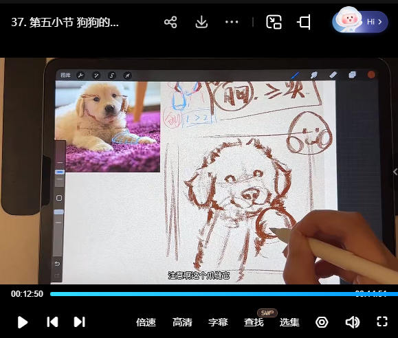凶猛悍兔动物插画速写课2025【画质高清有笔刷素材】