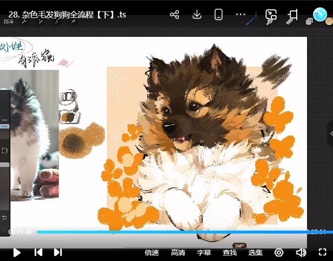 凶猛悍兔色彩专题课2025【画质高清有课件笔刷】