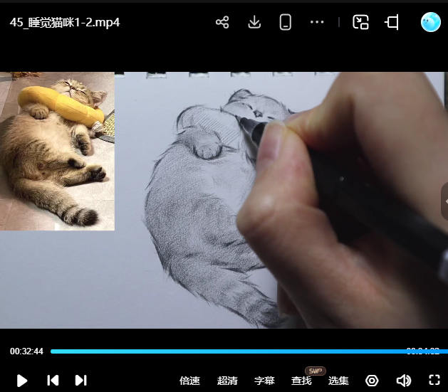 kim治愈系宠物素描2025【画质不错有资料】