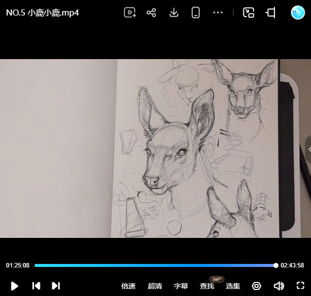 凶猛悍兔动物纸本速写2026年1-3期合集【画质不错有课件笔刷】