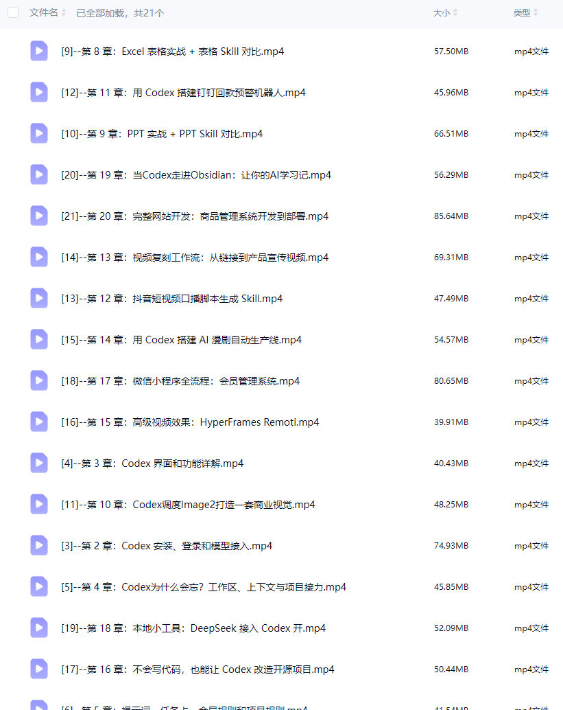 王喆CODEX AI实战应用课2026【画质还可以只有视频】