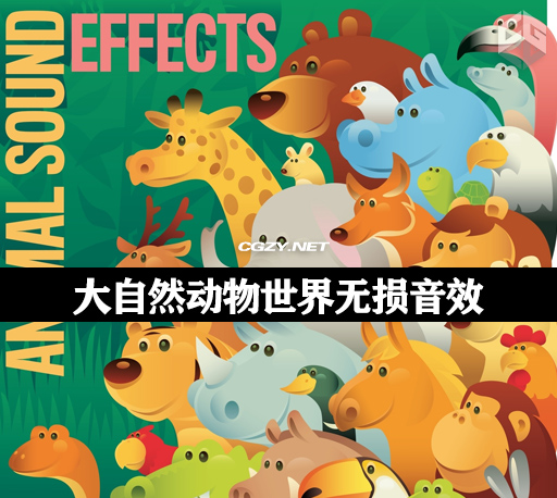 音效|30个免费大自然动物世界无损音效 Sound Effects – The Sounds of Animals Sound Effects 音效|30个免费大自然动物世界无损音效 Sound Effects – The Sounds of Animals Sound Effects