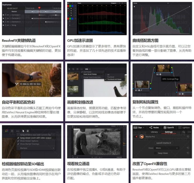 DaVinci Resolve Studio 16.2.6.5正式版|达芬奇调色软件破解版下载 2020030818223896