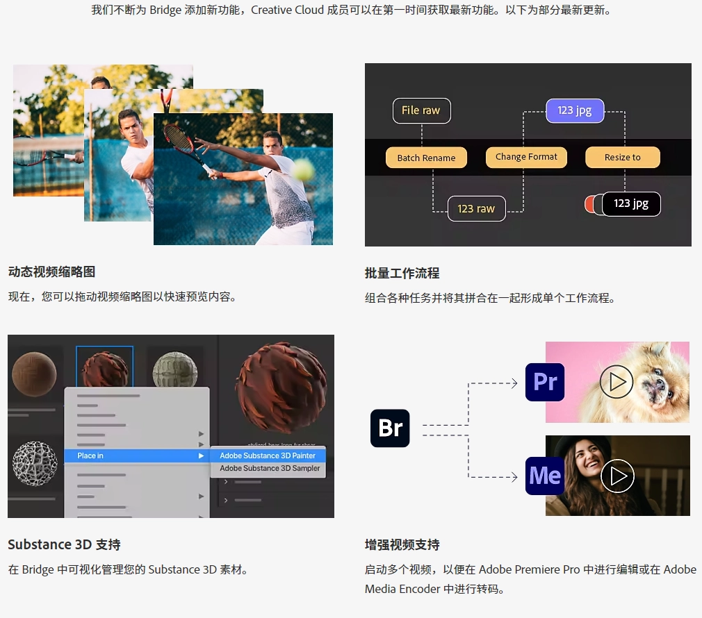 Adobe Bridge 2024 v14.0.4 Win 中/英文官方破解版下载 Adobe Bridge 2024 v14.0.4 Win 中/英文官方破解版下载