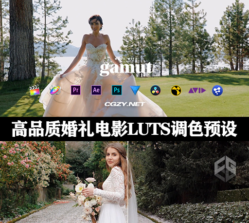 LUTS预设|高品质婚礼电影MV视频LUTS调色预设 White In Revery Gamut Adagio LUTs LUTS预设|高品质婚礼电影MV视频LUTS调色预设 White In Revery Gamut Adagio LUTs