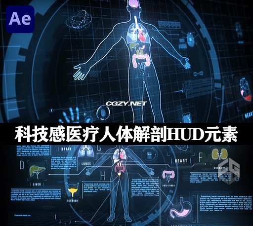 AE模板|200种科技感医疗人体解剖器官全息HUD元素动画 Human Anatomy HUD Pack AE模板|200种科技感医疗人体解剖器官全息HUD元素动画 Human Anatomy HUD Pack