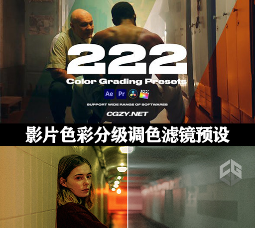 LUTS预设|222种专业影片色彩分级调色滤镜预设 Colorify 222 LUTs LUTS预设|222种专业影片色彩分级调色滤镜预设 Colorify 222 LUTs