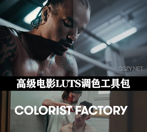 LUTS预设|Colorist Factory终极调色师工具包 Premium Bundle & 4K Grain Digital Remaster LUTS预设|Colorist Factory终极调色师工具包 Premium Bundle & 4K Grain Digital Remaster