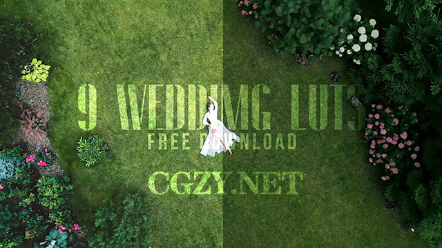 LUTS预设|9种婚礼MV场景调色预设 Wedding LUT LUTS预设|9种婚礼MV场景调色预设 Wedding LUT