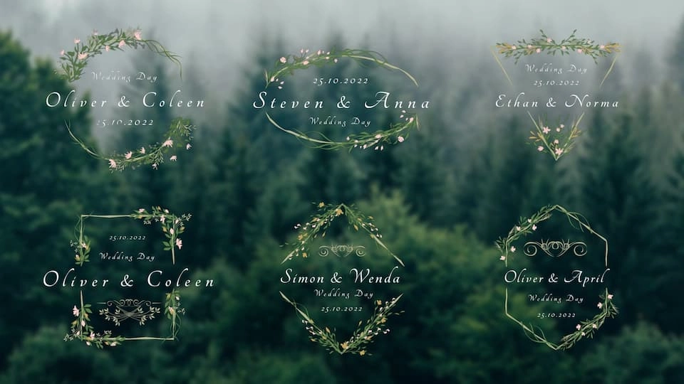 FCPX插件|6个唯美浪漫婚礼鲜花文字标题动画 Wedding Titles FCPX插件|6个唯美浪漫婚礼鲜花文字标题动画 Wedding Titles